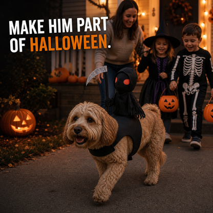 Scary Halloween Costume for Pets