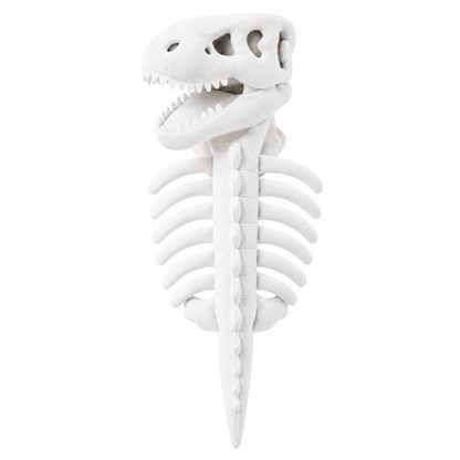 Dinosaur Skeleton Costume