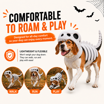 Dinosaur Skeleton Costume
